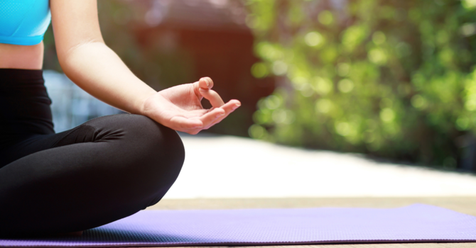 The Importance of Spinal Health for Overall Wellness